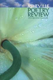 issue 11 cover