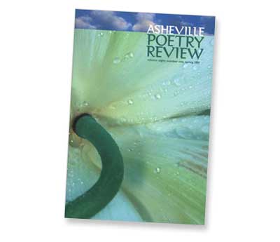 issue 11 cover