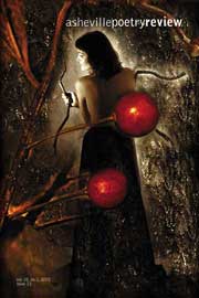 issue 13 cover