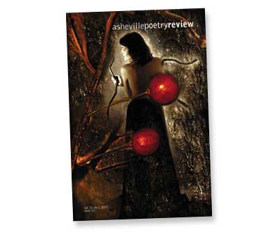 issue 13 cover