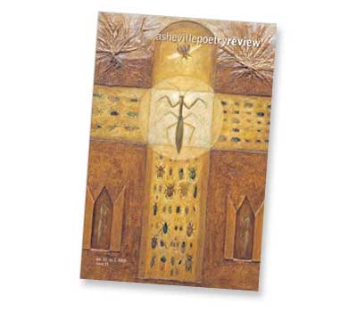 issue 15 cover