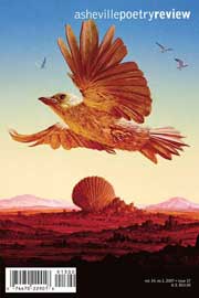 issue 17 cover