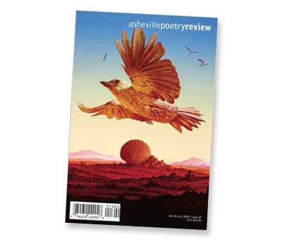 issue 17 cover