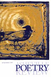 issue 3 cover